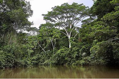 《死亡搁浅2》已向索尼提交认证 小岛工作室全力修复最后瑕疵